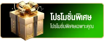 โปรโมชั่น